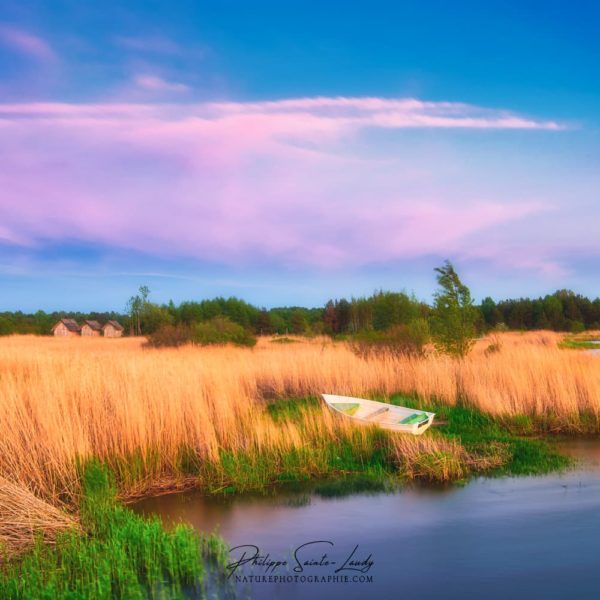 Dream State L'heure dorée en Estonie