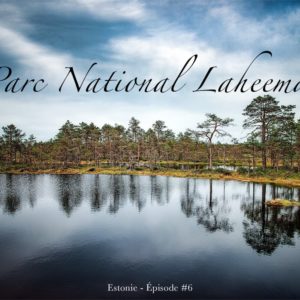 Le parc national de Laheema en Estonie