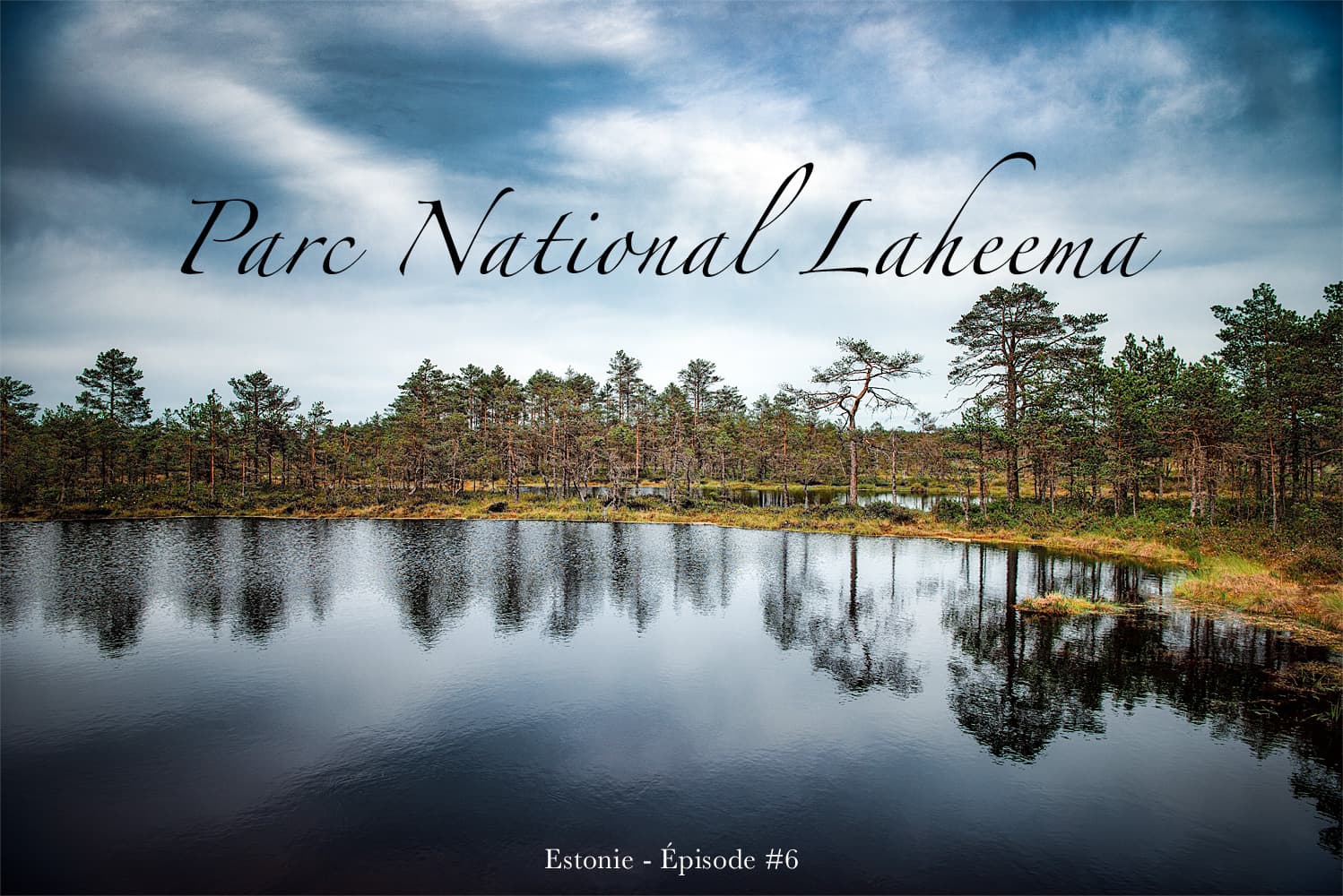 Le parc national de Laheema en Estonie