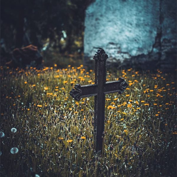 Lost Without You copie