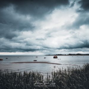 Mind Over Matter Golfe de Finlande