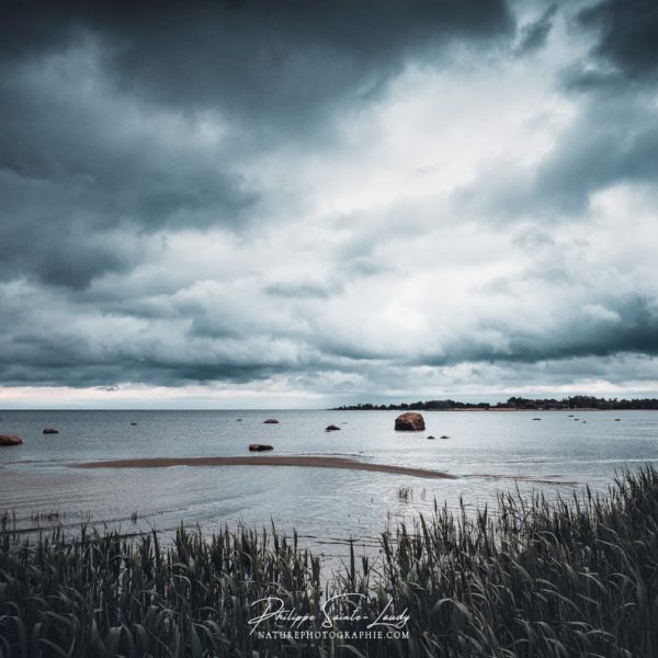 Mind Over Matter Golfe de Finlande