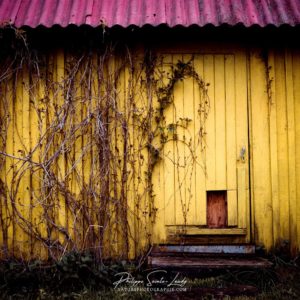 Old Yellow Vieille grange en bois jaune