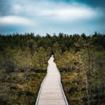 Photo du chemin sur pilotis à Laheema en Estonie