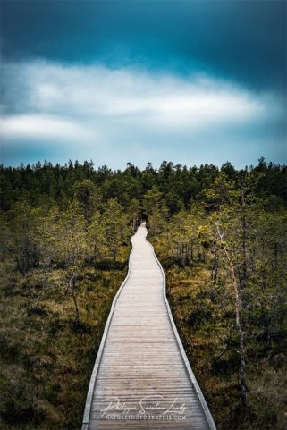 Photo du chemin sur pilotis à Laheema en Estonie