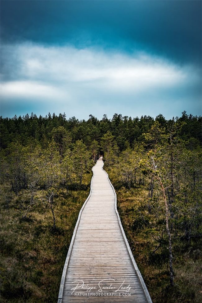 Photo du chemin sur pilotis à Laheema en Estonie