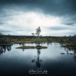 Photo de paysage dans le parc de Laheema en Estonie