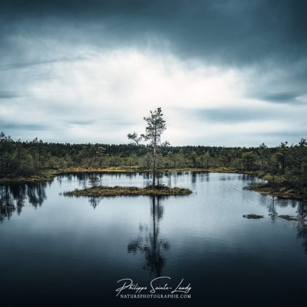 Supernature Photo de paysage dans le parc de Laheema en Estonie