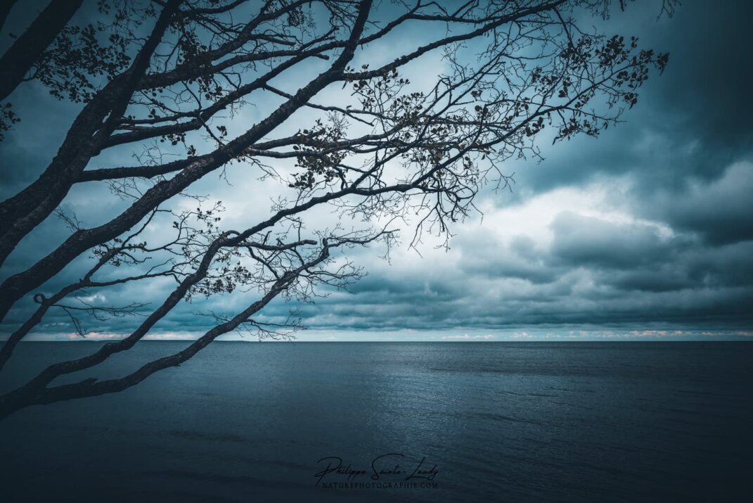 Vue sur la mer Baltique