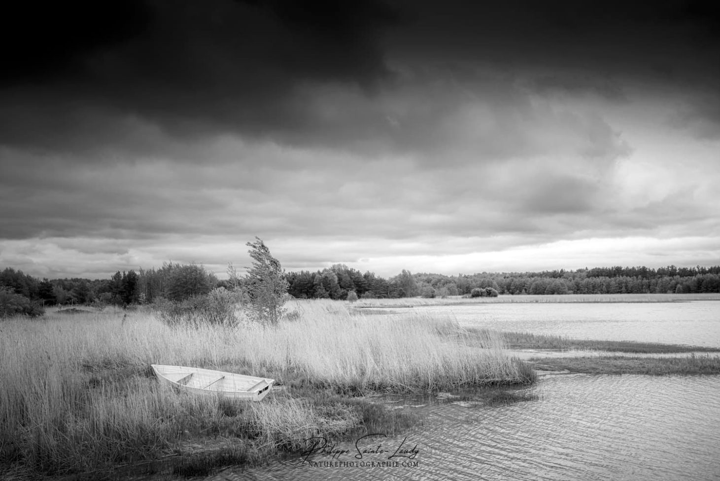 Photo noir et blanc d'un paysage en Estonie