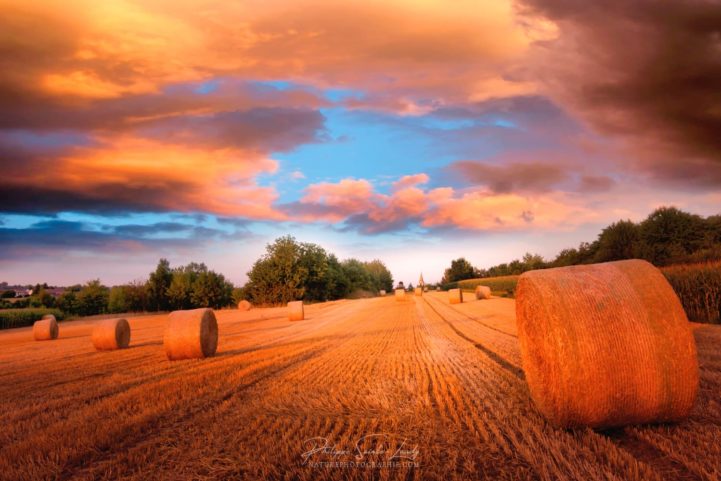 Coucher de soleil dramatique au-dessus des champs