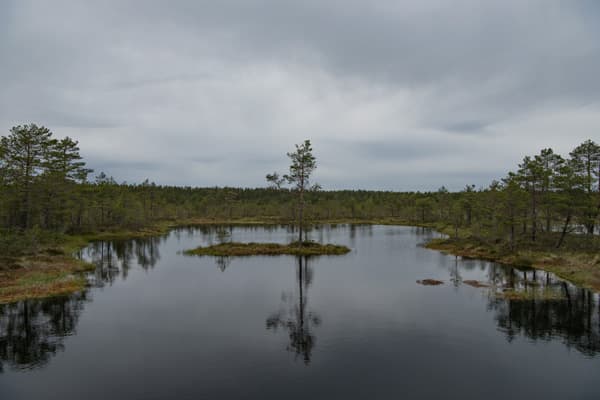 Paysage dramatique avant