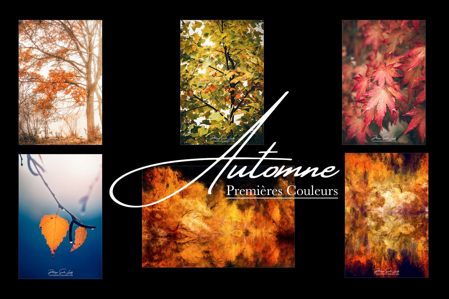 Photos des premières couleurs de l'automne