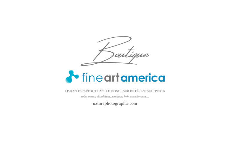 Acheter les photos de Philippe Sainte-Laudy