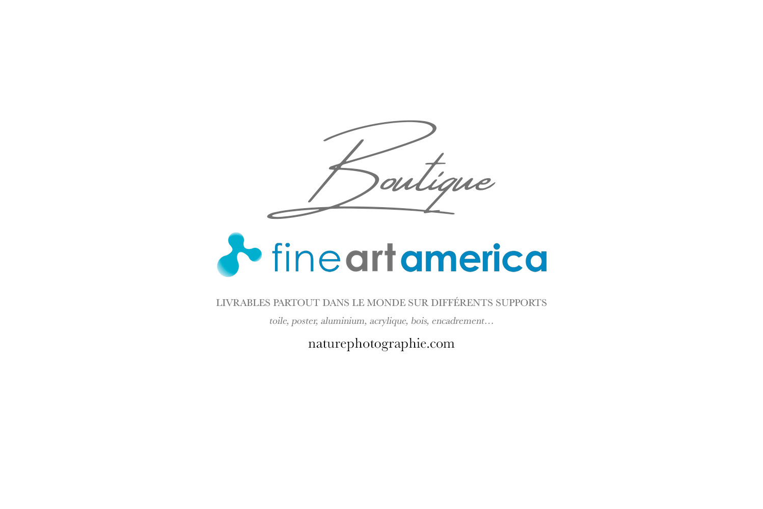 Boutique-photos-Fine-Art-America Acheter les photos de Philippe Sainte-Laudy