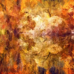 Mirror of the Soul Paintographie d'une forêt en automne