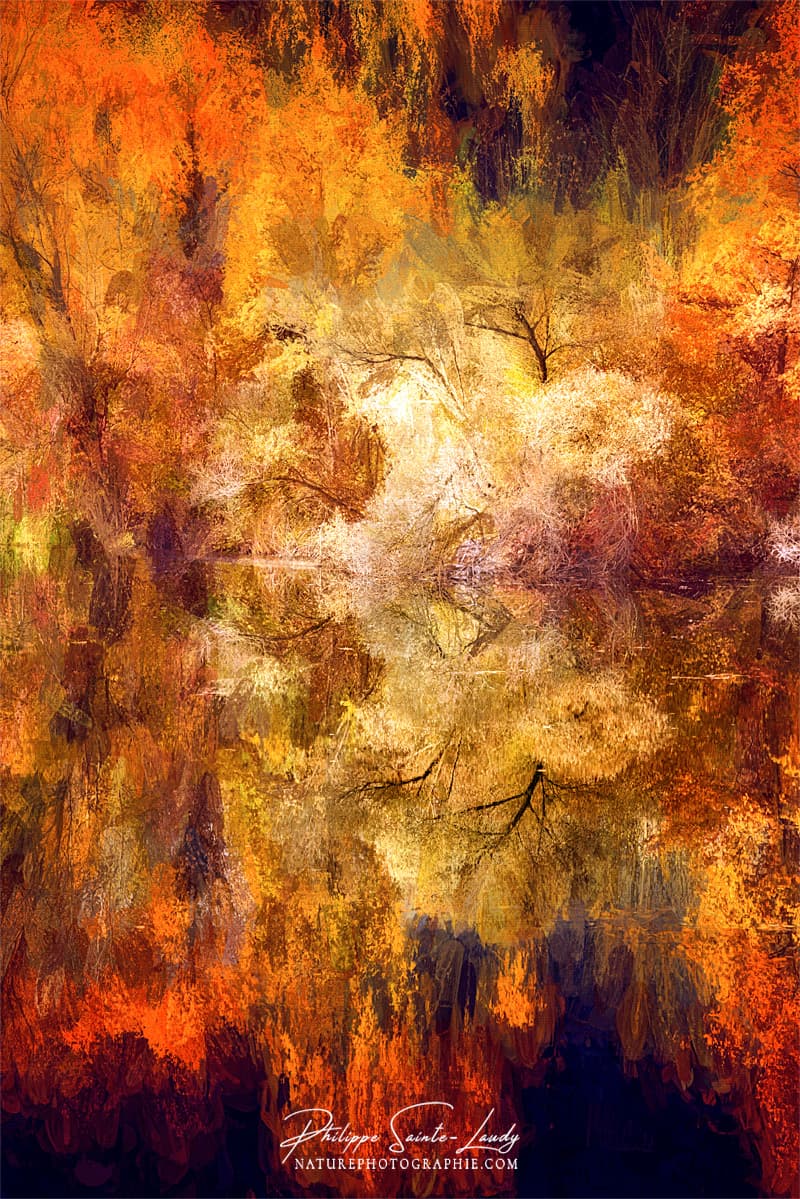 Paintographie d'une forêt en automne