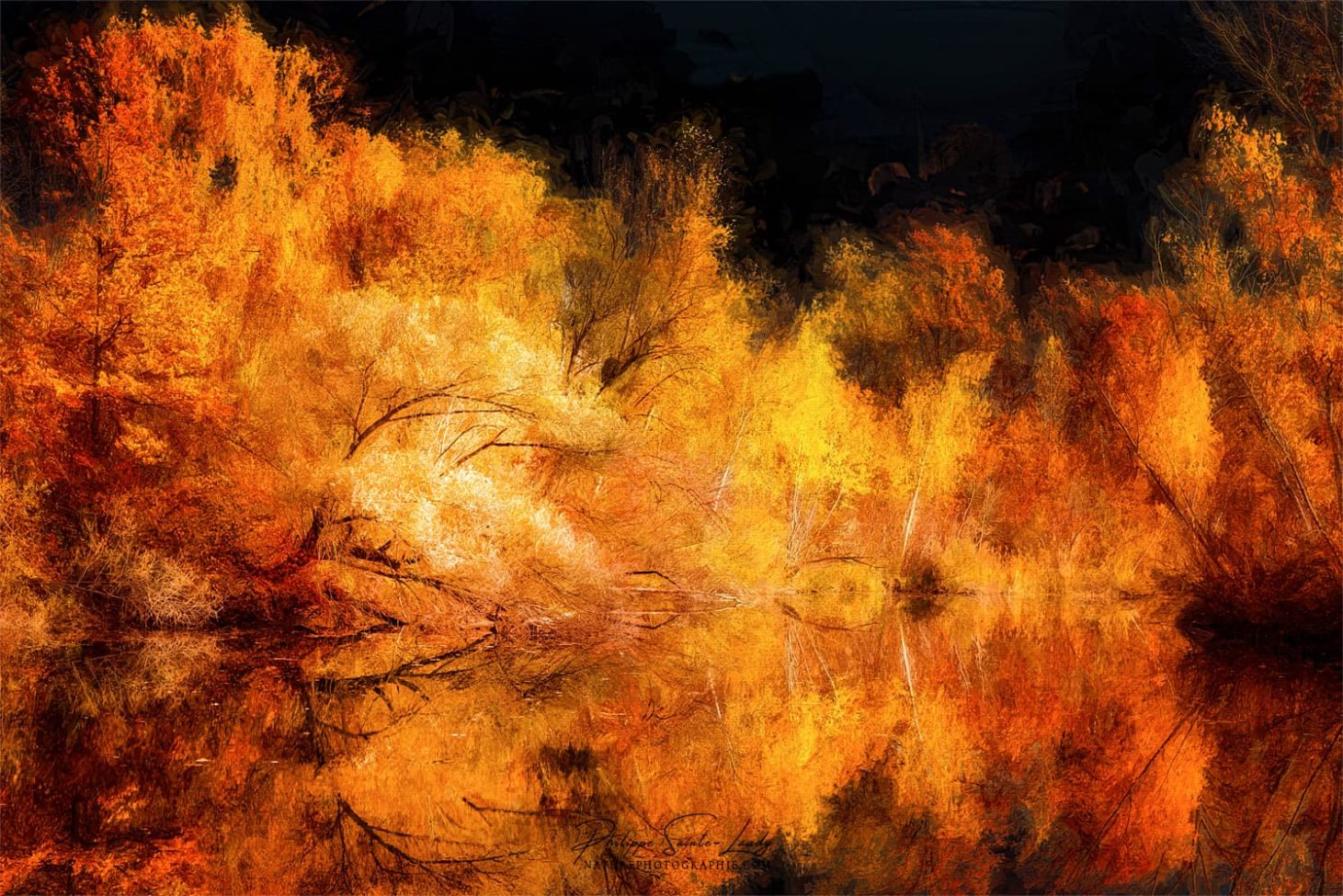 Paintographie d'automne