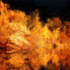 Sun Kissed Paintographie d'automne