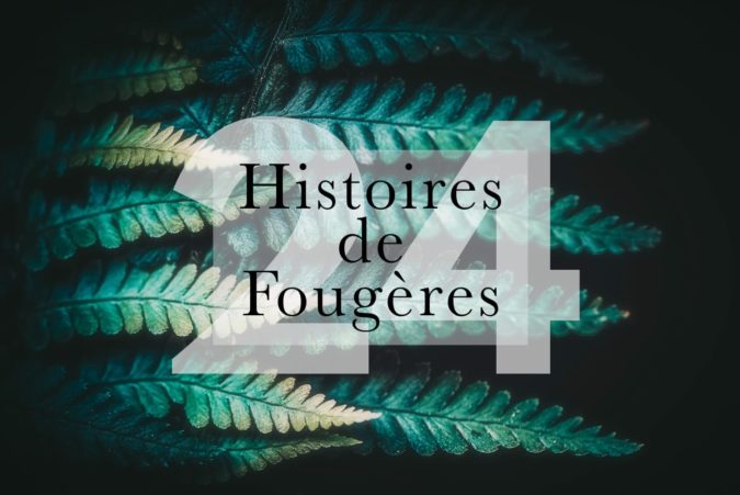 Photos de 24 fougères