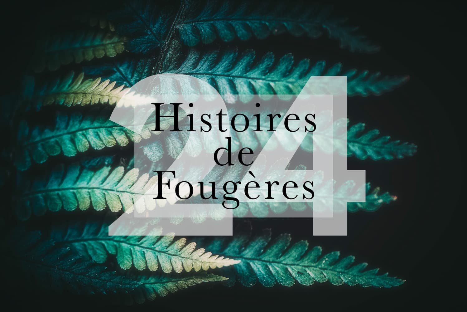 Photos de 24 fougères