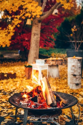 Un feu dans un brasero en automne