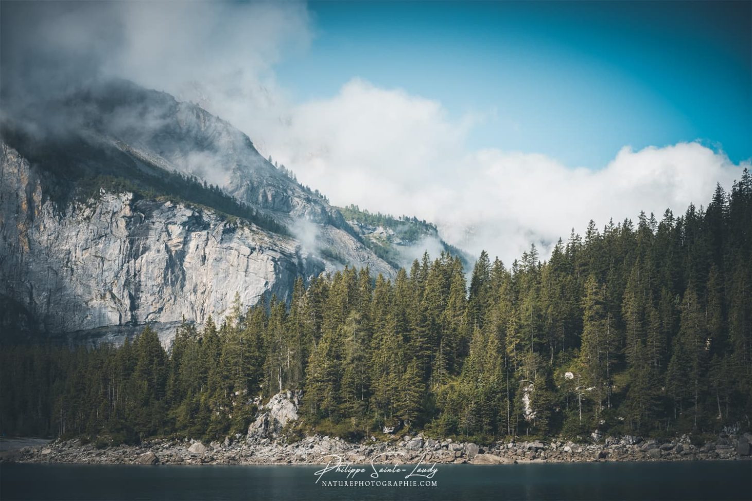 Les sapins qui bordent le lac Oeschinen