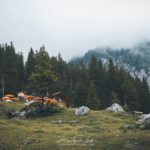 Le Berghotel au bord de l’Oeschinensee