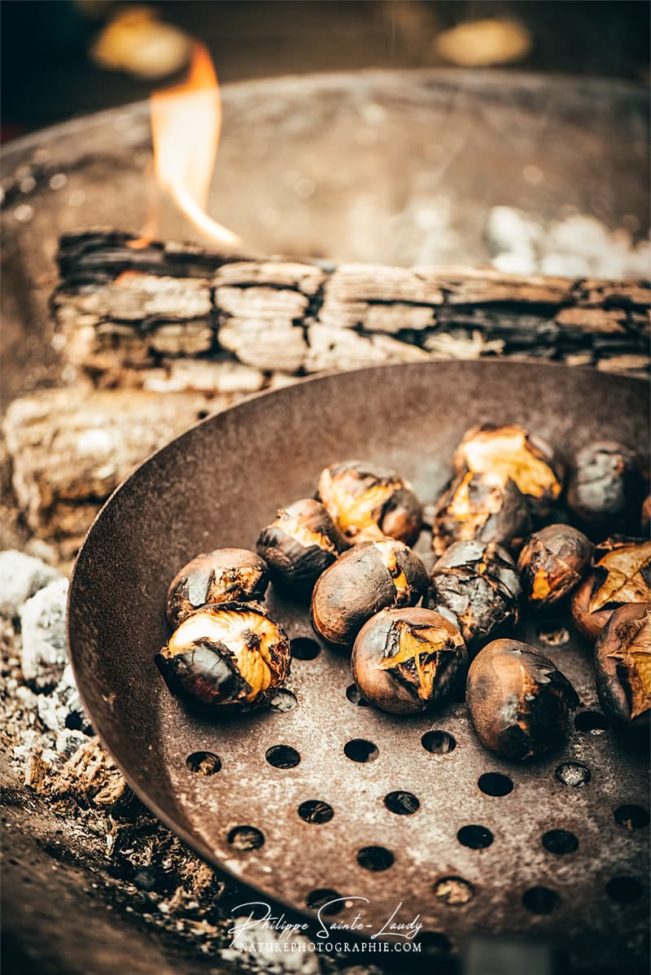 Châtaignes sur poêle à trou