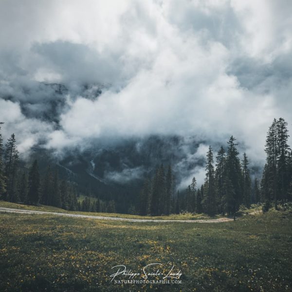 Down on My Knees Le brouillard descend dans une vallée Suisse