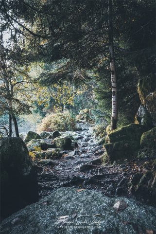 Sentier de montagne en Suisse