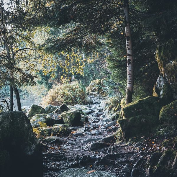 I’ll Find My Way Sentier de montagne en Suisse