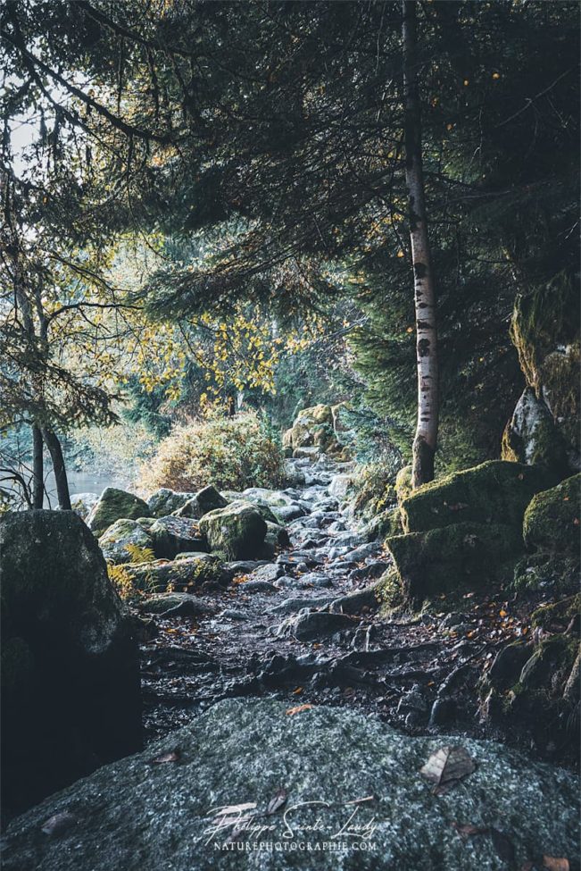 Sentier de montagne en Suisse