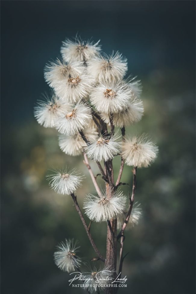 En attendant d'être emporté par le vent…