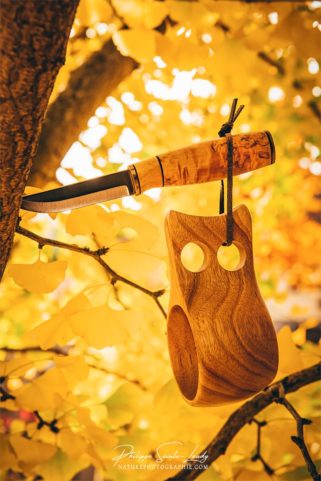 Kuksa accrochée dans un arbre