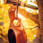 Une kuksa en acajou accrochée dans un ginkgo