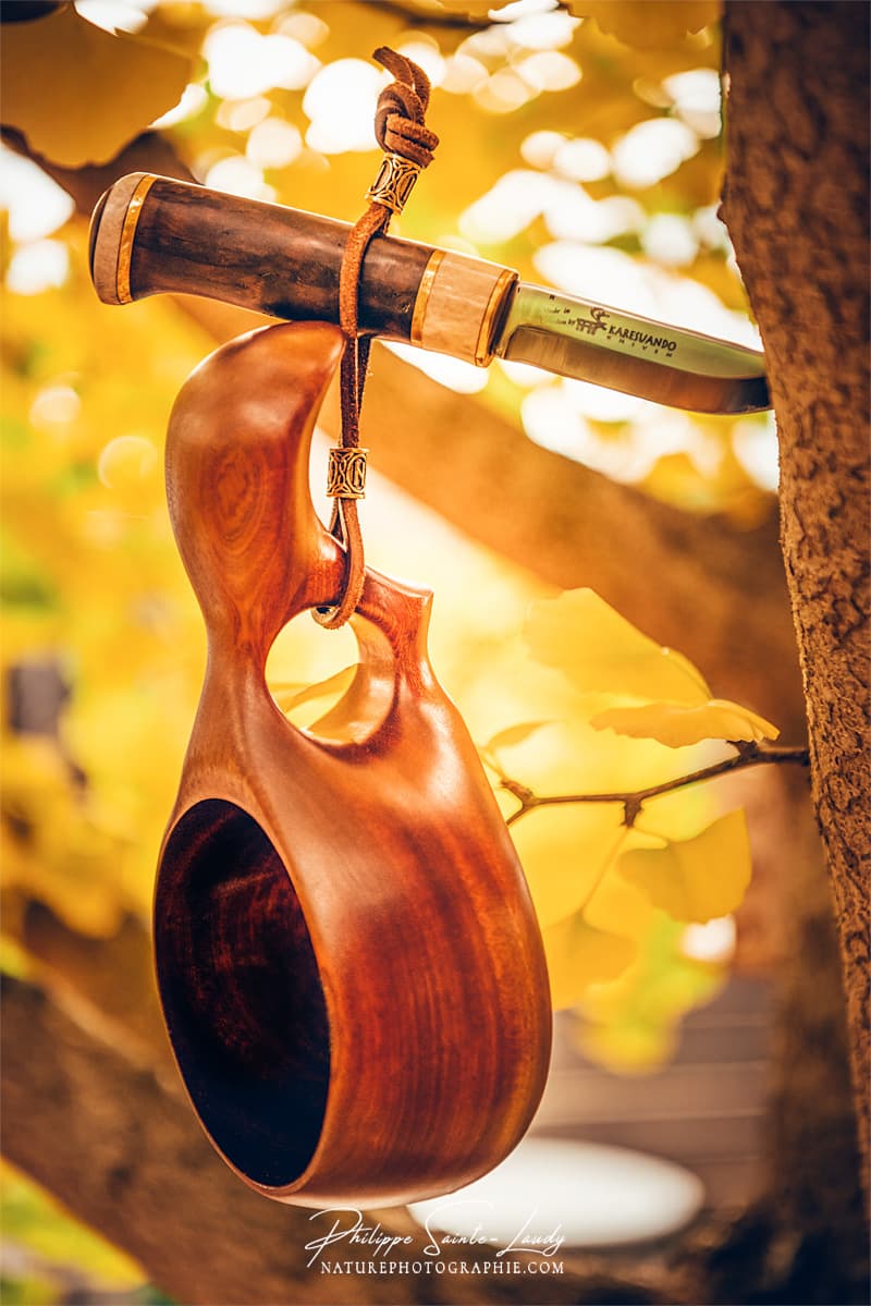 Une kuksa en acajou accrochée dans un ginkgo