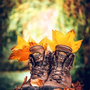 Special Shoes Autumn Chaussures de marche