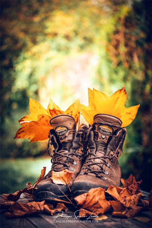 Chaussures de marche