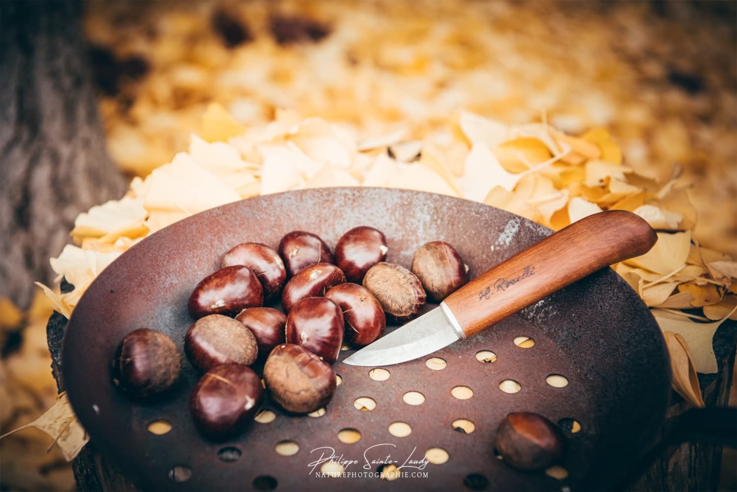 Une croix sur les châtaignes