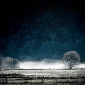 White Mist Brume au-dessus d'un champs