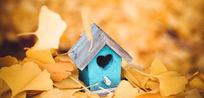 100%-photos-automne 100% photos automne