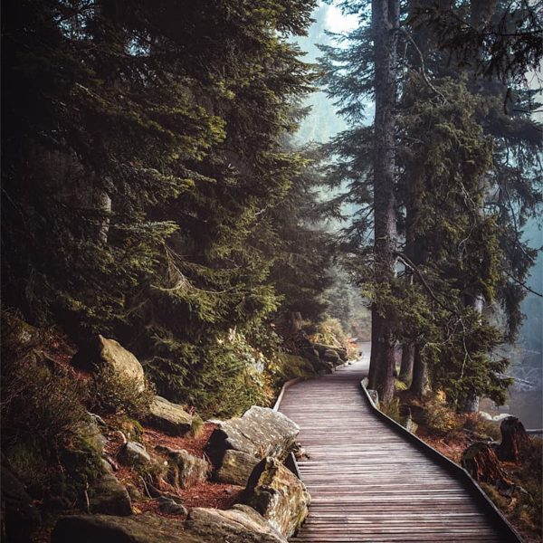 A Moment in the Fall Sentiers du lac Mummel en Allemagne