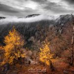 Brouillard dans les Vosges