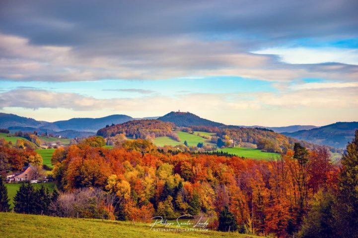 Campagne avec les couleurs de l'automne