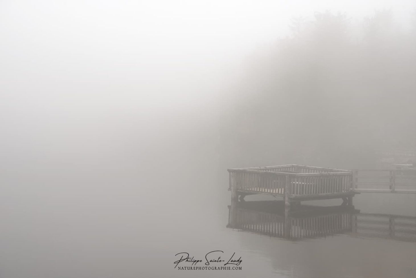 Brouillard sur les sentiers autour du lac Mummel