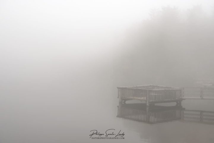 Brouillard sur les sentiers autour du lac Mummel