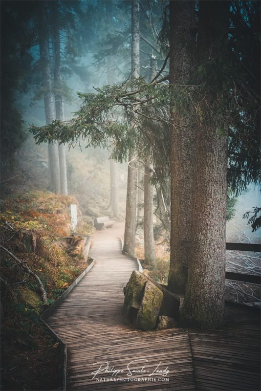 Sentiers dans le brouillard autour du lac Mummel