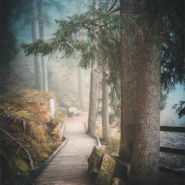 Fall at your Feet Sentiers dans le brouillard autour du lac Mummel