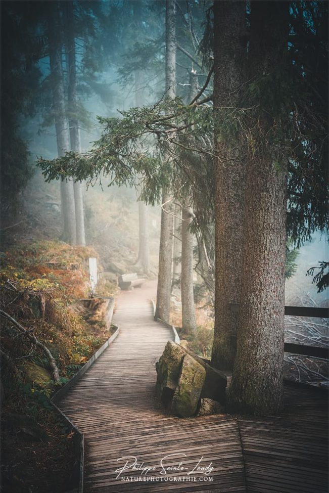 Sentiers dans le brouillard autour du lac Mummel